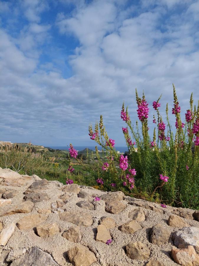 Mj Farmhouse B&B Xagħra Kültér fotó